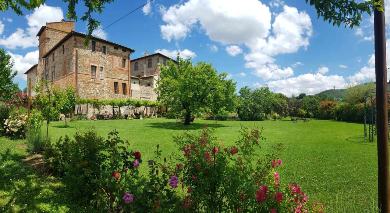 Agriturismo Abbazia Sette Frati A Casa Di Sara Pietrafitta  Exterior foto