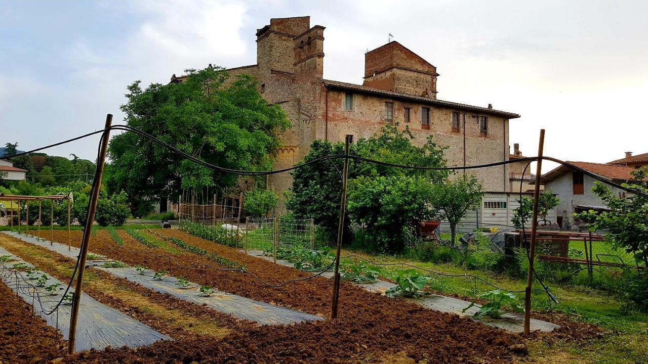 Agriturismo Abbazia Sette Frati A Casa Di Sara Pietrafitta  Exterior foto