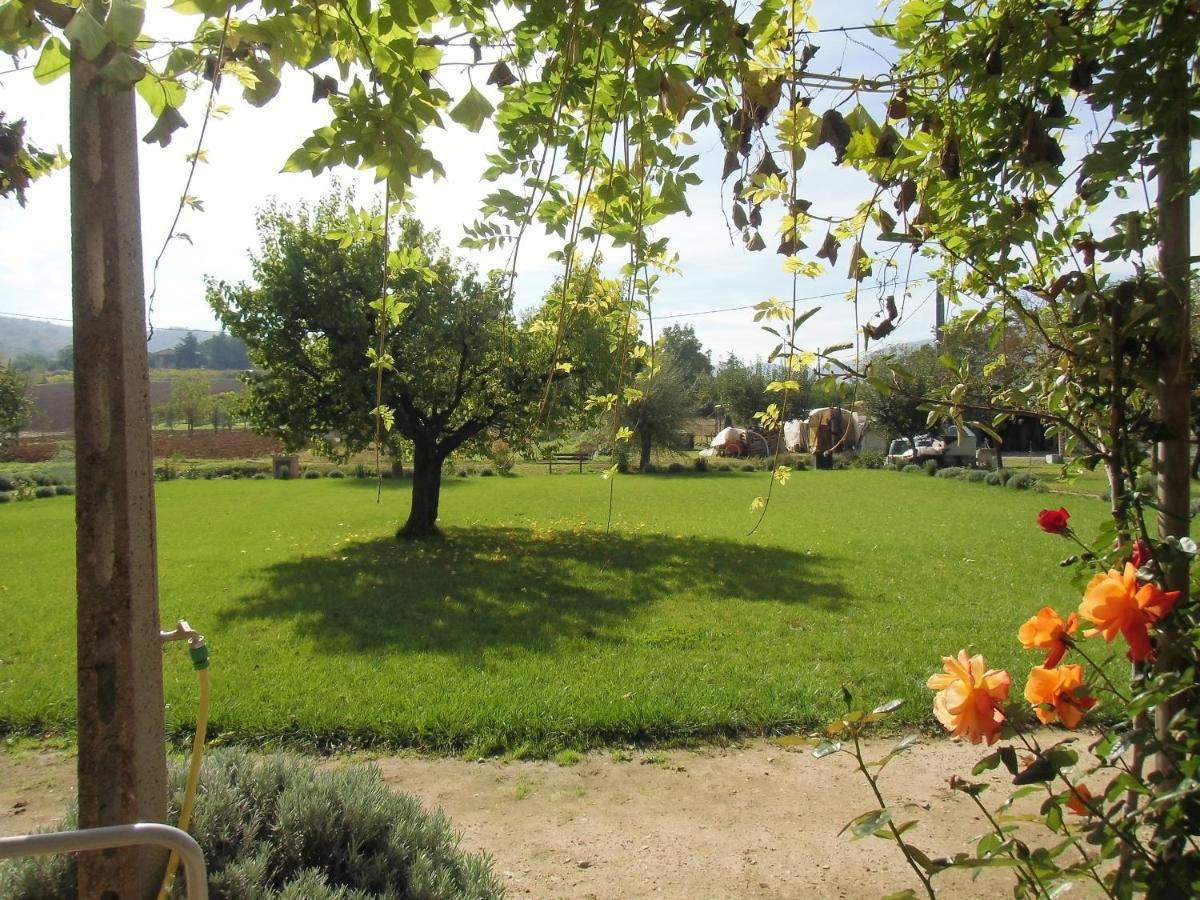Agriturismo Abbazia Sette Frati A Casa Di Sara Pietrafitta  Exterior foto